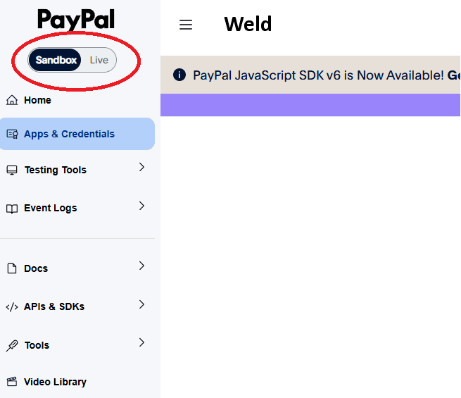 PayPal developer - Environment